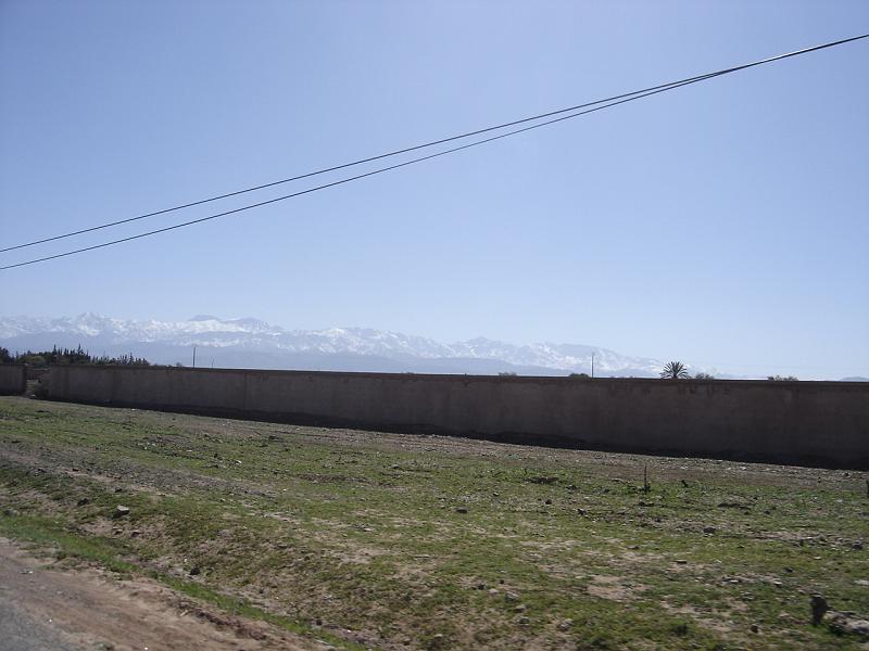 DSC04596