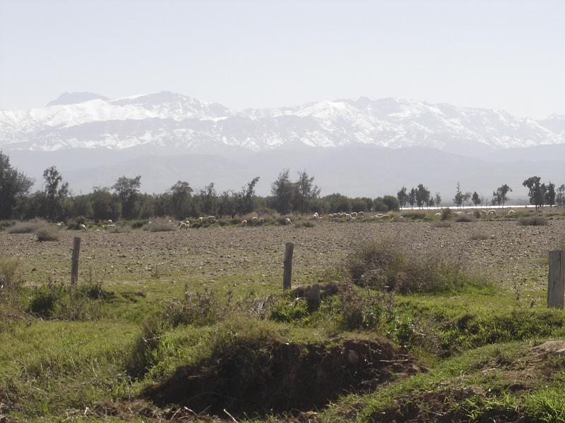 DSC04598