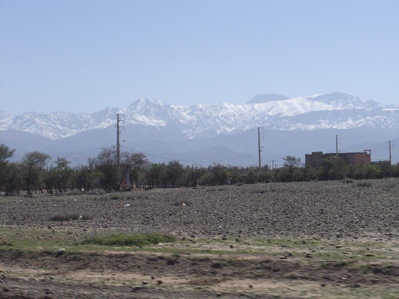 DSC04599