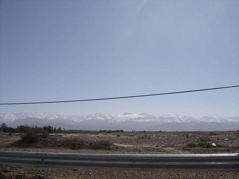 DSC04602