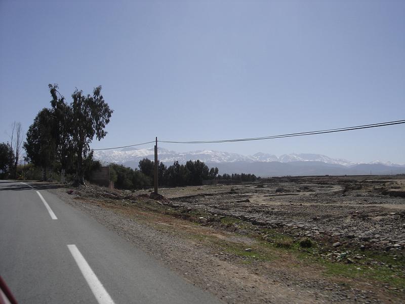 DSC04603