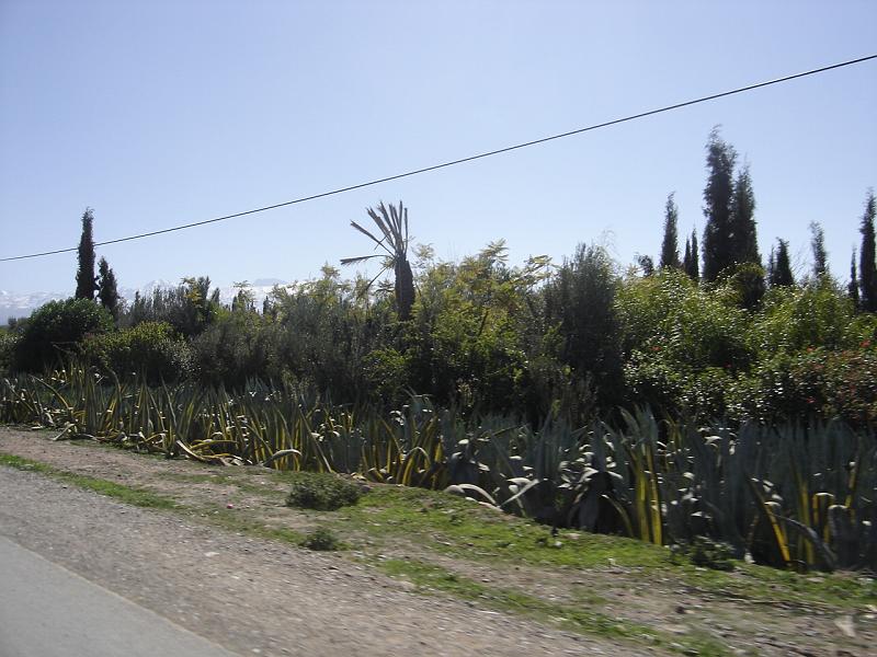 DSC04605