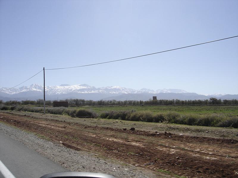 DSC04608