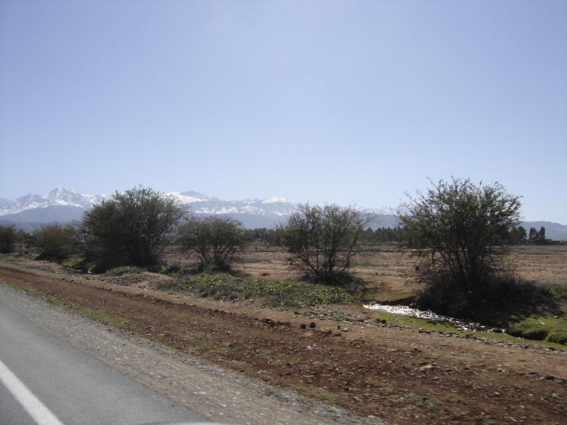 DSC04612