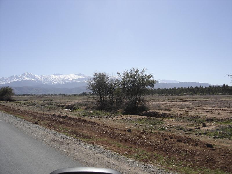 DSC04613