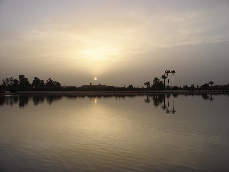 DSC04634