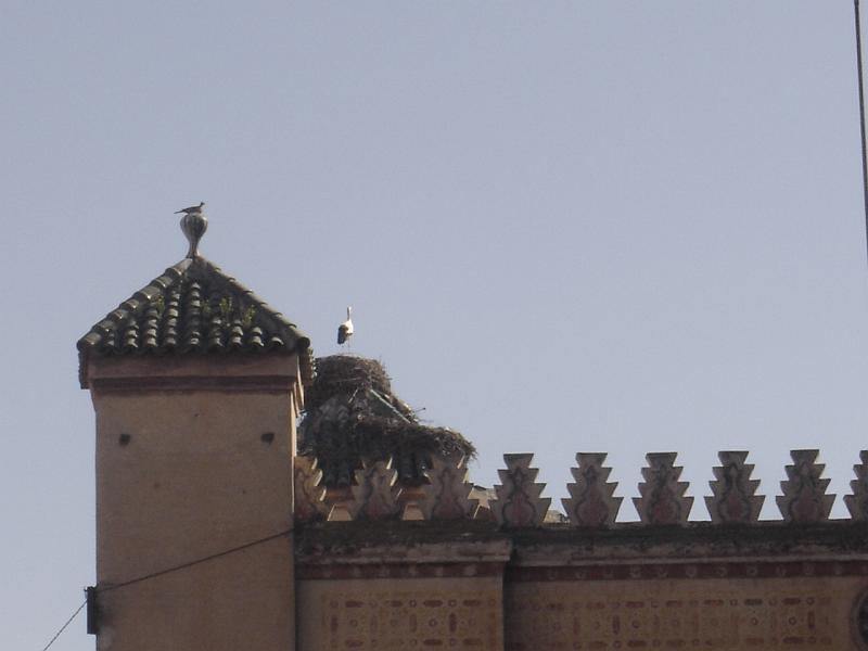 DSC04656