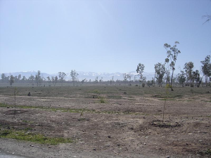 DSC04661