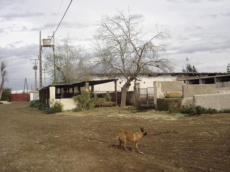 DSC04690