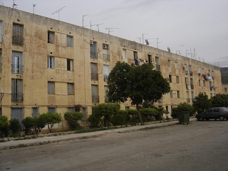 DSC04710