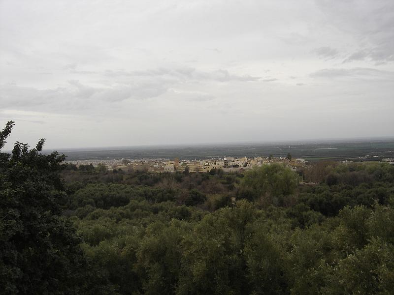 DSC04711