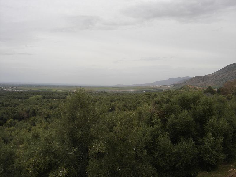DSC04713