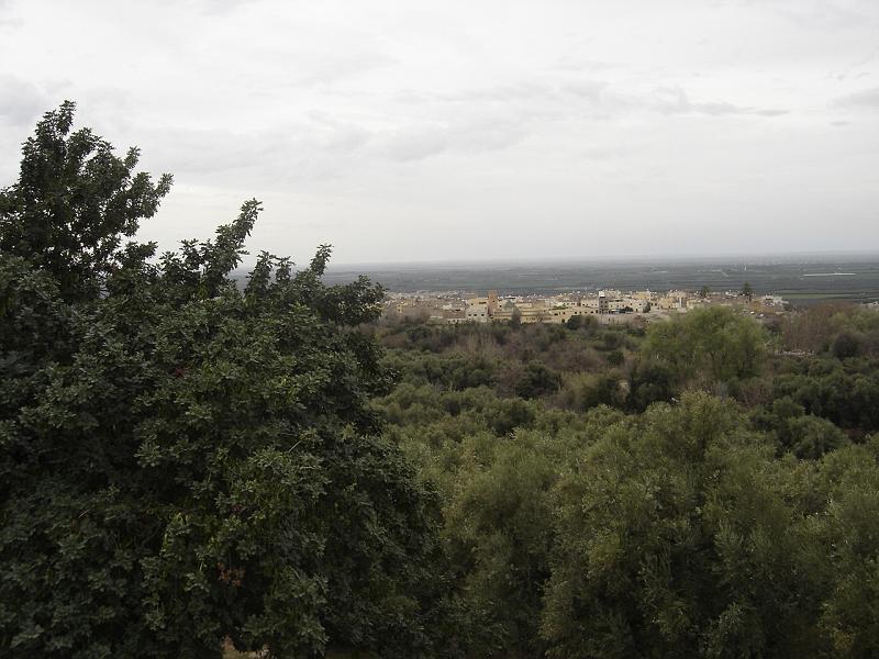 DSC04715