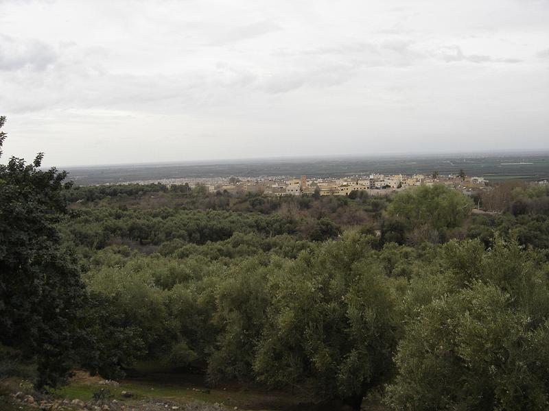 DSC04717