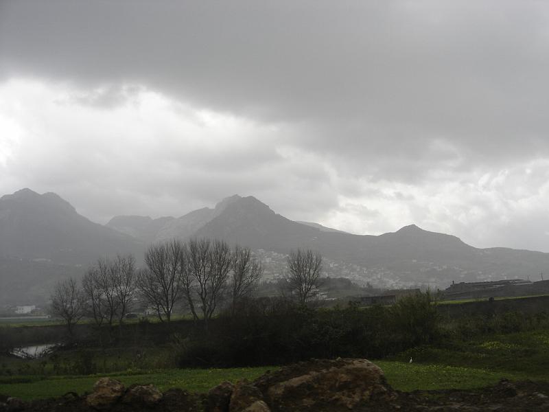 DSC04753