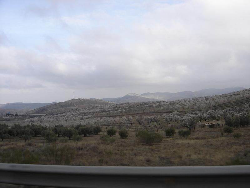 DSC04784