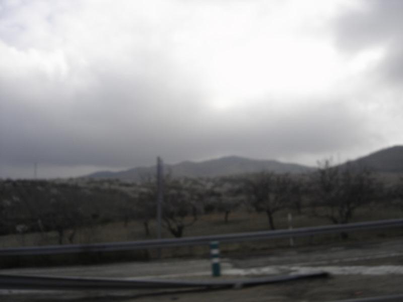DSC04786