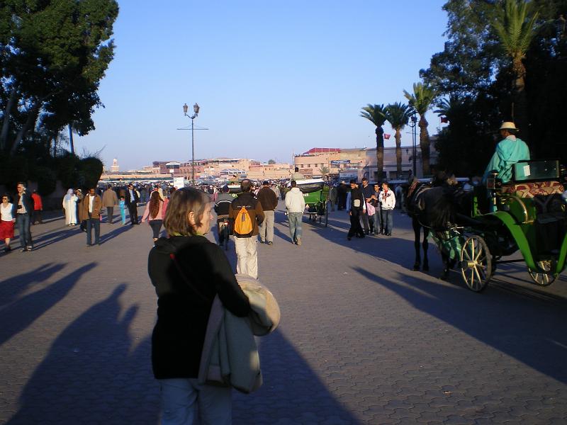 IMGP0133