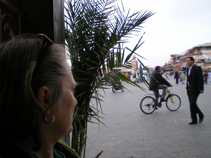 IMGP0175