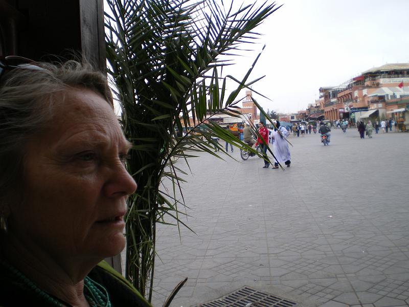 IMGP0176
