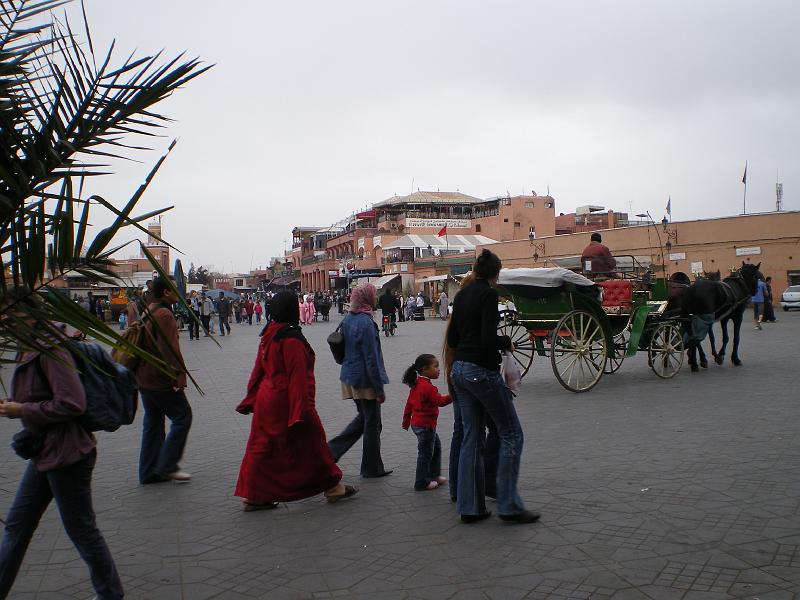 IMGP0177