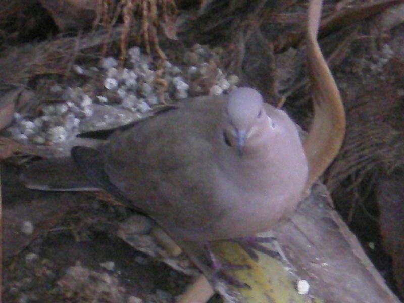 IMGP0190