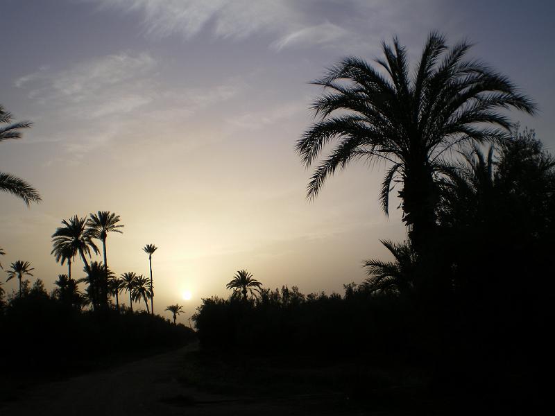 IMGP0191