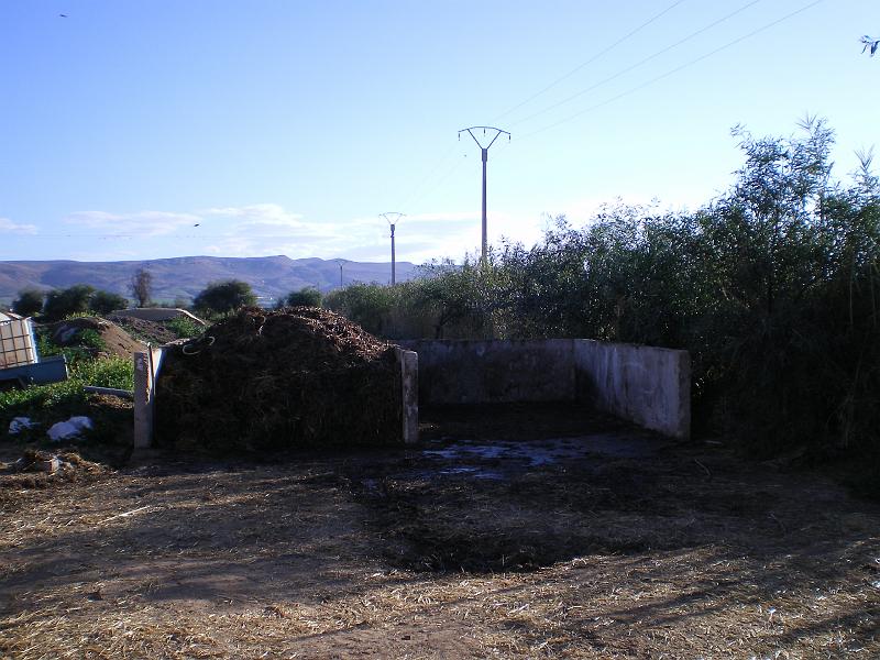 IMGP0204