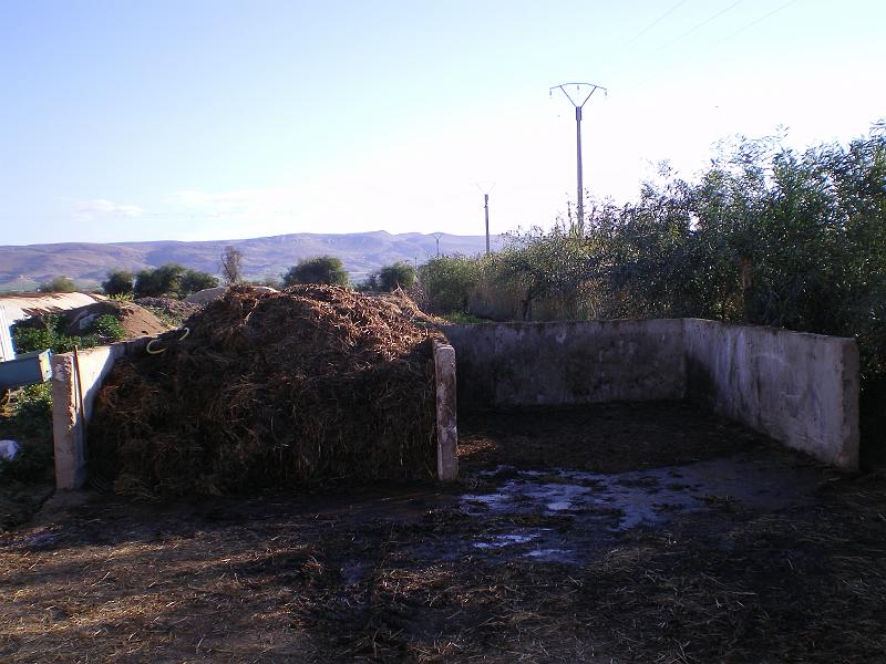 IMGP0206