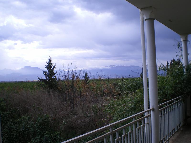 IMGP0208