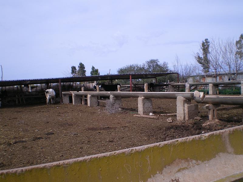 IMGP0218