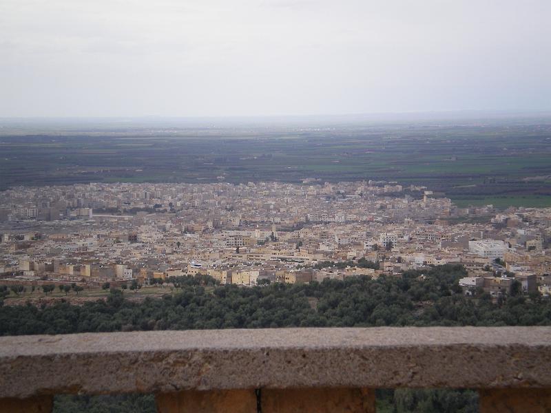 IMGP0228