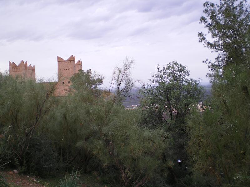 IMGP0229