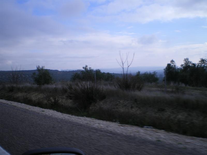 IMGP0246