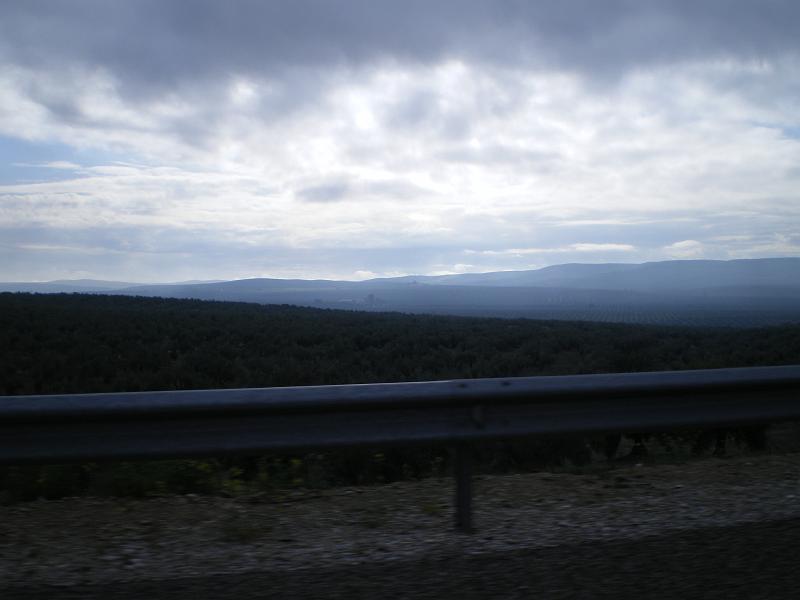 IMGP0247