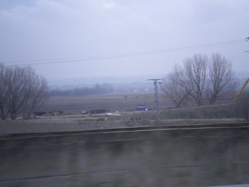 IMGP0248