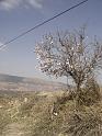 DSC04533