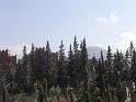 DSC04535