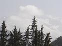 DSC04538
