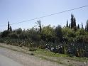 DSC04605