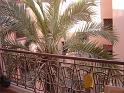 DSC04635