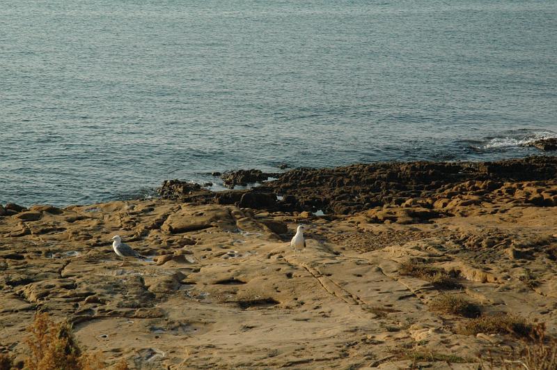 DSC_0289